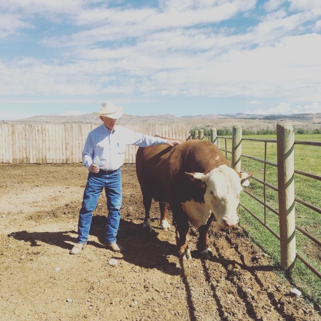 Meet Dale and his bull Stud Churchill What a warmhellip