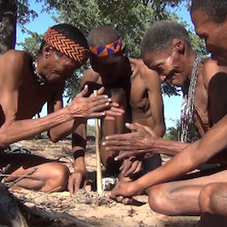 KALAHARI SURVIVAL GUIDE: FIRE